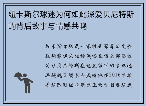 纽卡斯尔球迷为何如此深爱贝尼特斯的背后故事与情感共鸣