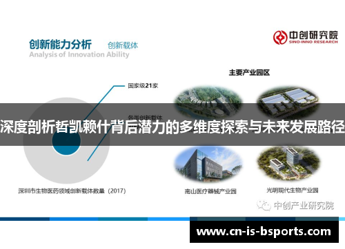 深度剖析哲凯赖什背后潜力的多维度探索与未来发展路径