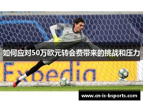 如何应对50万欧元转会费带来的挑战和压力