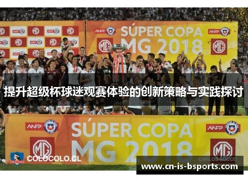 提升超级杯球迷观赛体验的创新策略与实践探讨