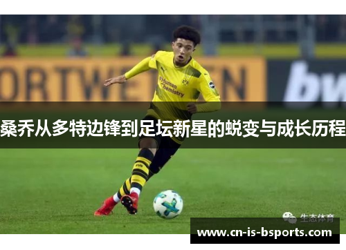 桑乔从多特边锋到足坛新星的蜕变与成长历程