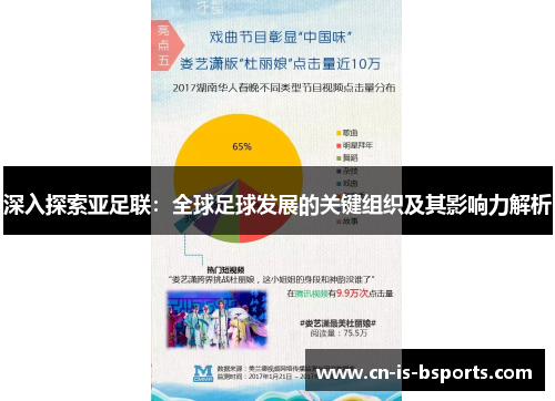 深入探索亚足联：全球足球发展的关键组织及其影响力解析