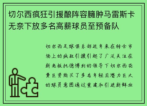 切尔西疯狂引援酿阵容臃肿马雷斯卡无奈下放多名高薪球员至预备队